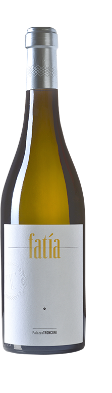 MALVASIA PUNTINATA – FATÍA 2017